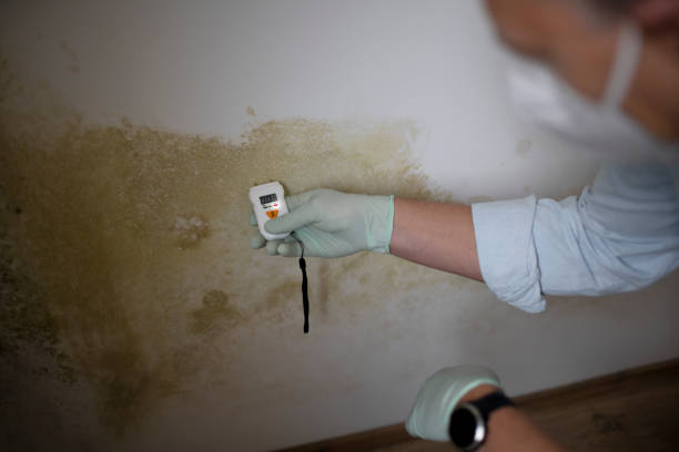 Best Residential Mold Removal  in Edgefield, SC